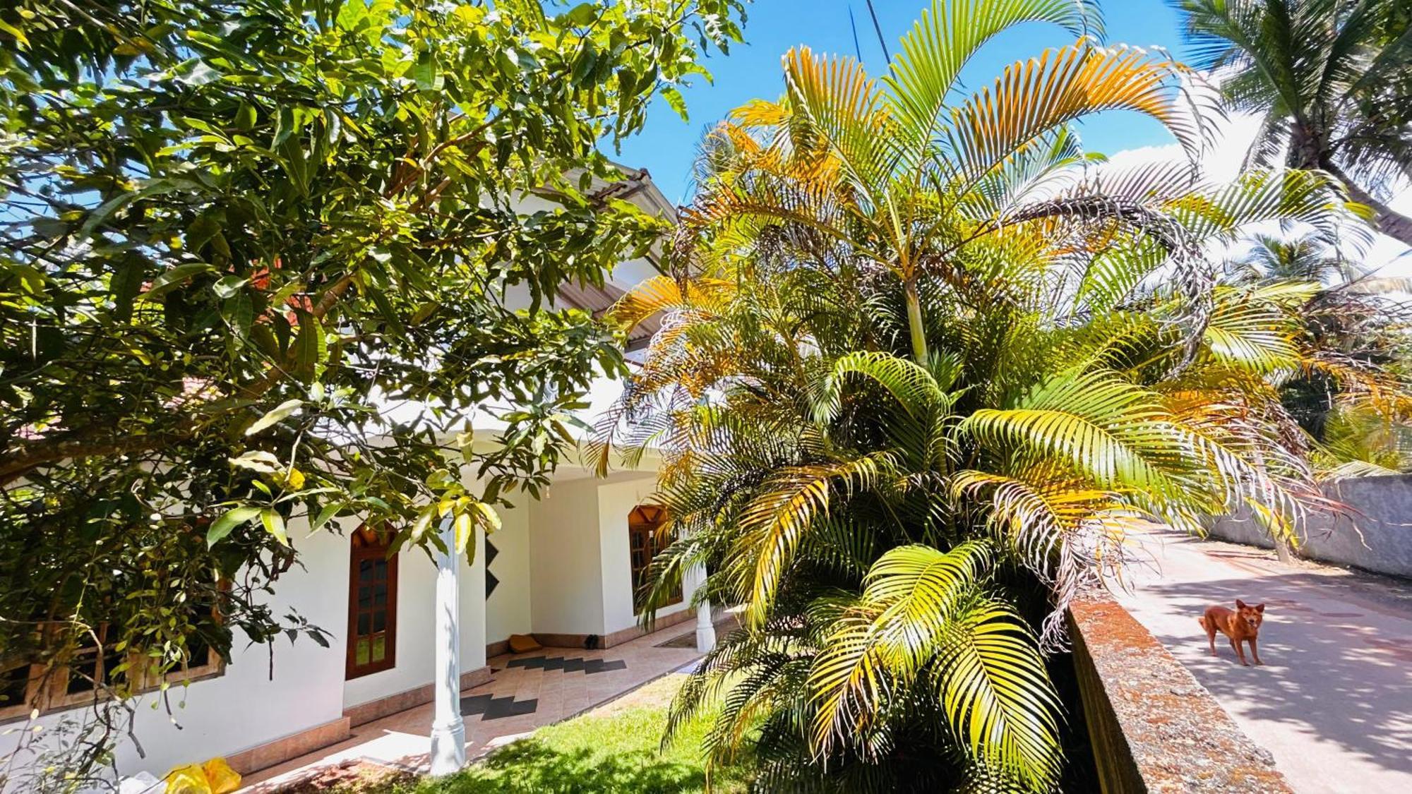Kida'S Guest House Matara Buitenkant foto